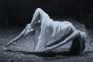 LaSonnambula_Website_Banner 1 image